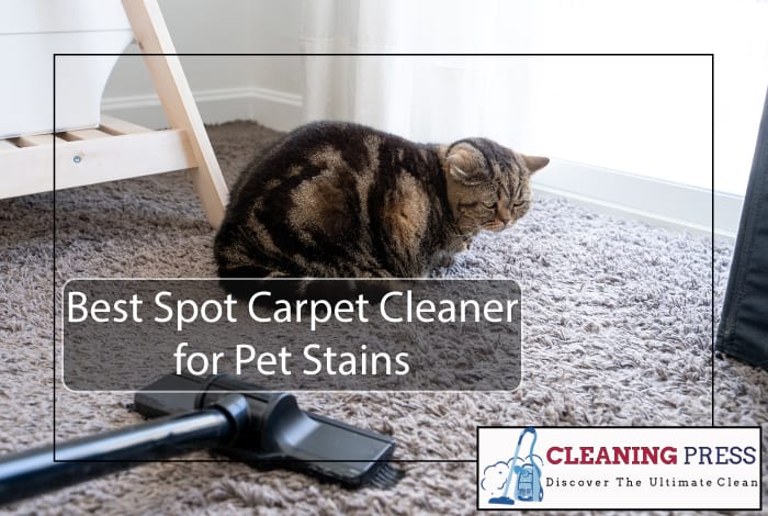 Best Spot Carpet Cleaner For Pet Stains